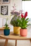 vibes fold rond 16cm delicaat roze